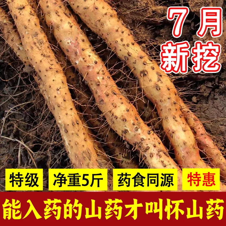 河南焦作温县正宗垆土铁棍山药新鲜现挖软糯香甜营养健康蔬菜食材