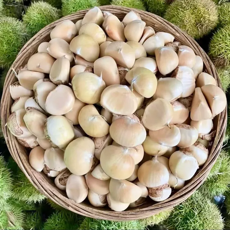 正宗湖北罗田嫩板栗子新鲜生栗子新鲜带壳白壳嫩生栗子生鲜食品