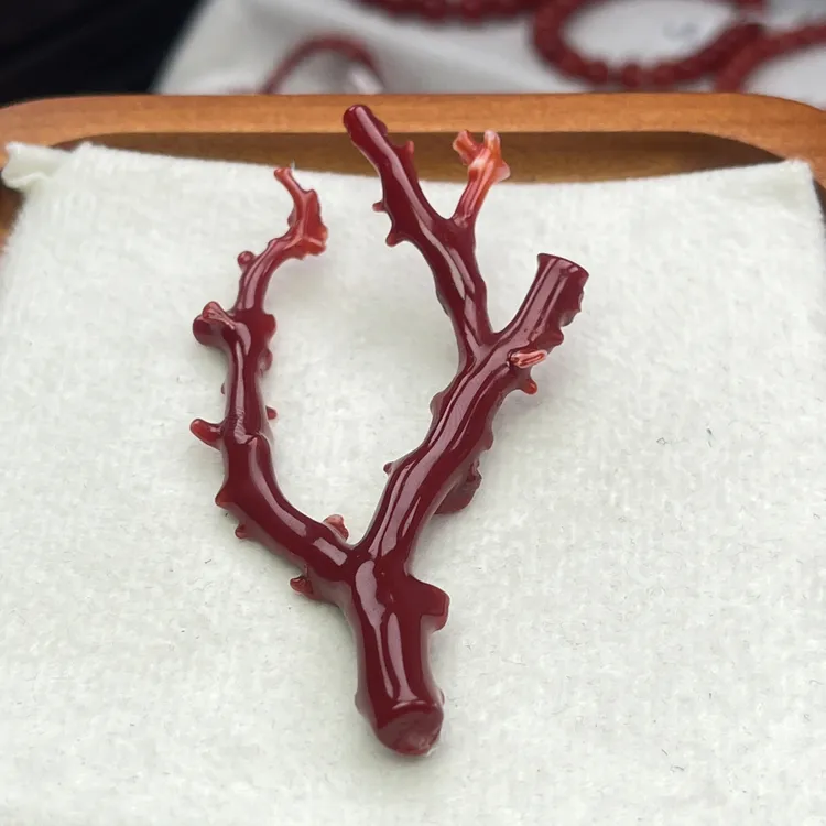 天然珊瑚阿卡原枝高品质阿卡红珊瑚