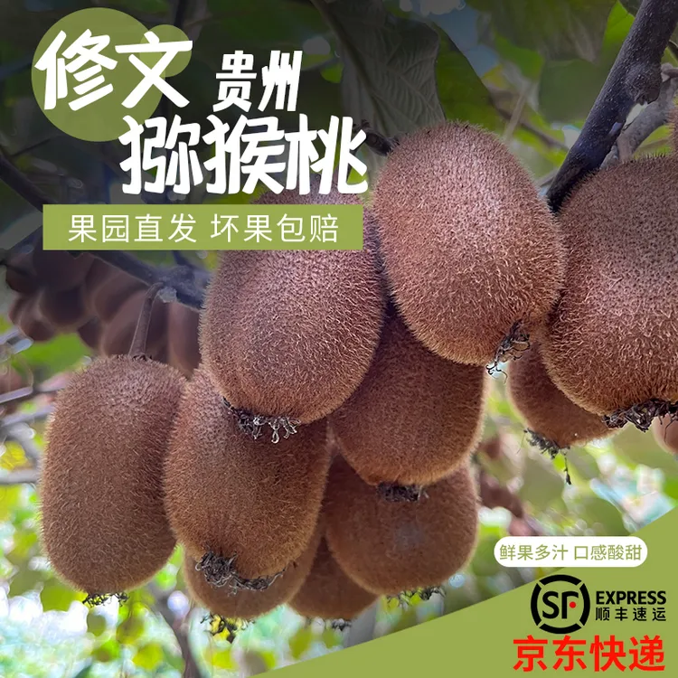 正宗贵州修文贵长猕猴桃新鲜绿心奇异果现摘当季水果自己吃