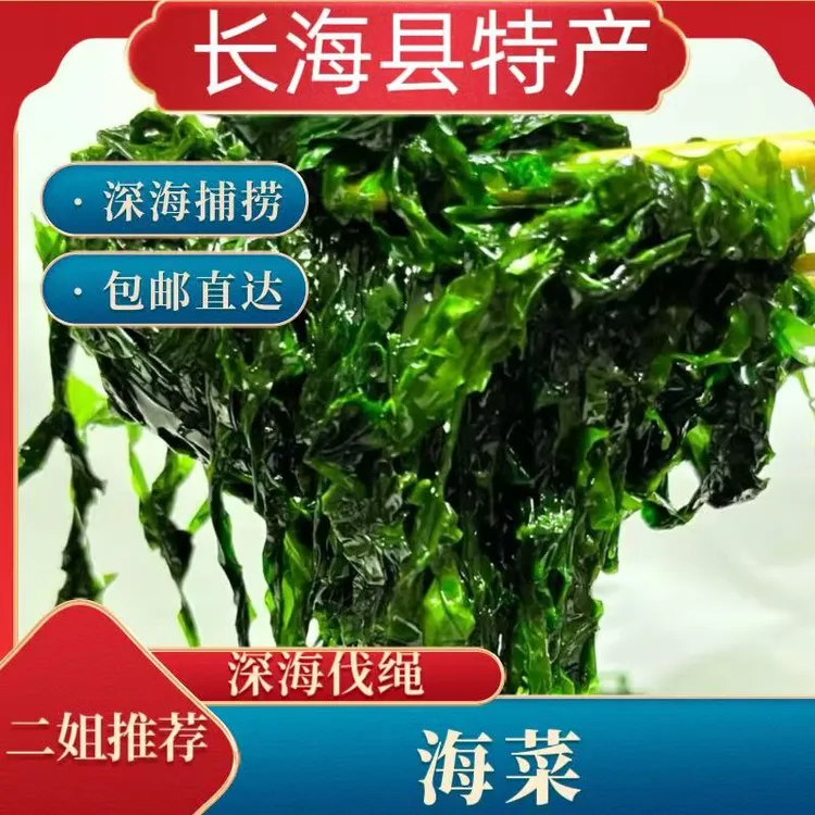 《长海县二姐》岛里野生伐绳海菜（无沙无泥）发4斤