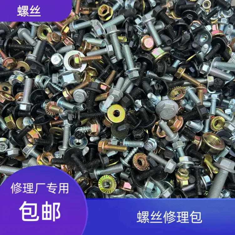 （净重9.5斤）原厂螺丝螺丝钉电子汽车修理厂螺丝维修包螺丝带螺帽