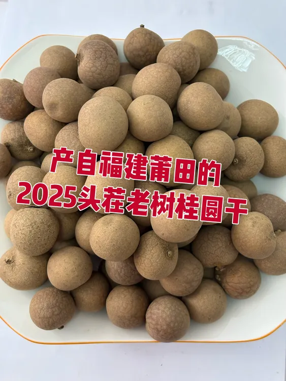 福建莆田桂圆干特级大果25年新货泡水煲汤煲粥零食