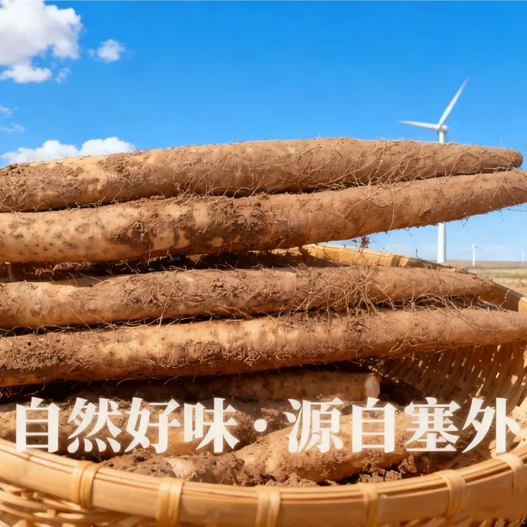 内蒙古产地直发新鲜沙漠白玉山药软糯香甜营养美味宝宝辅食发顺丰