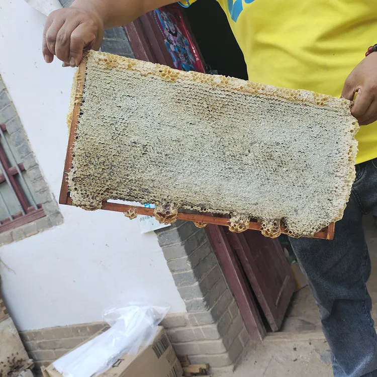 蜂场精选封盖成熟蜂巢  现切两年以上老蜂巢  每盒500克