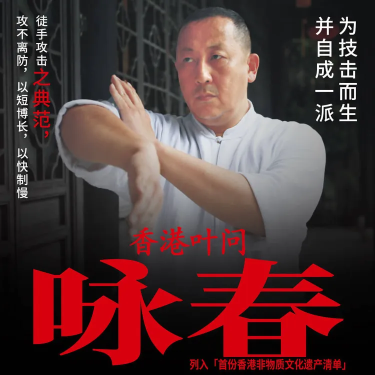 （附赠咏春拳藤圈）叶问咏春拳新手入门到实战小念头线上视频教学