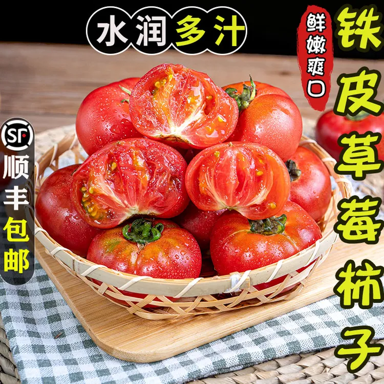 【顺丰速达】盐碱地铁皮草莓水果西红柿新鲜应季自然成熟可生吃