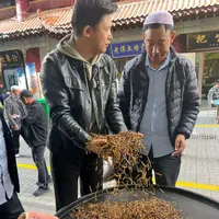 【冬虫夏草】口粮草 现场实收 自然晒干 品质滋补实拍图