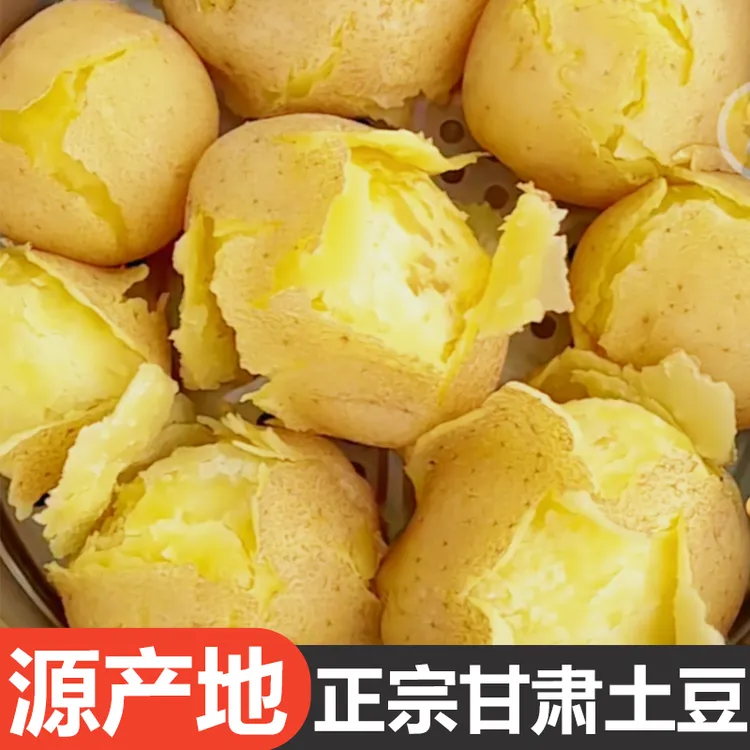 2025年甘肃黄心土豆黄皮土豆沙地种植原产地直发农家美味净重