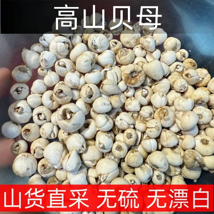 【高山贝母】无硫 无漂白 正宗阿坝州产贝母 搭雪梨 煮水炖汤泡茶