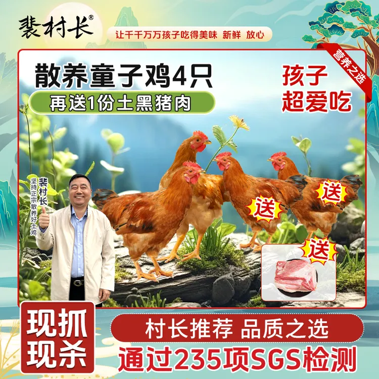 【拍一发五】到手四只裴村长散养童子鸡加赠土黑猪肉