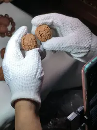 核源山庄出品邢台闷尖35