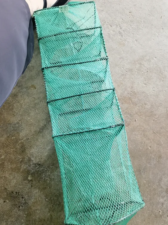 精品无结3门4门黄鳝网捕鱼
