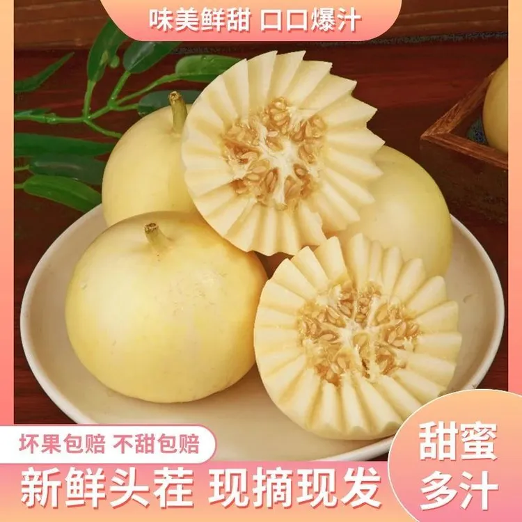 山东头茬应季小蜜蜂甜瓜新鲜甜瓜小蜜罐香瓜脆甜星甜甜瓜小蜜瓜