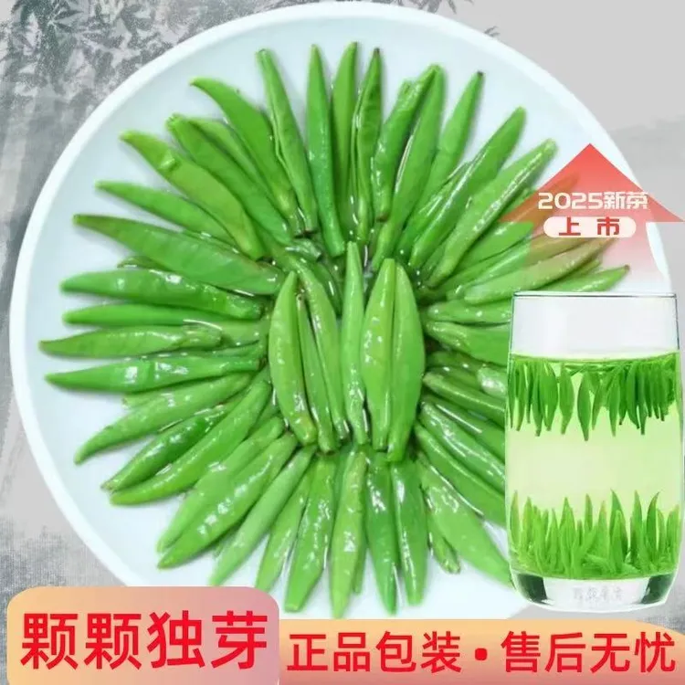 2025年明前新茶雀舌绿茶全单芽花果香耐泡回甘浓郁香醇