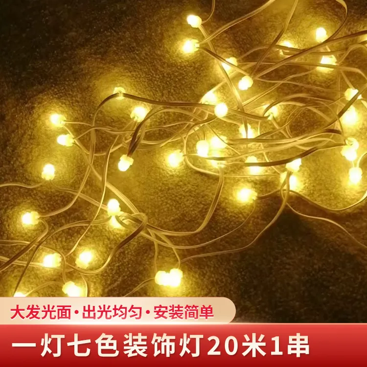 LED装饰灯串（一灯多色）灯闪灯满天星遥控房间卧室装饰灯光氛围灯