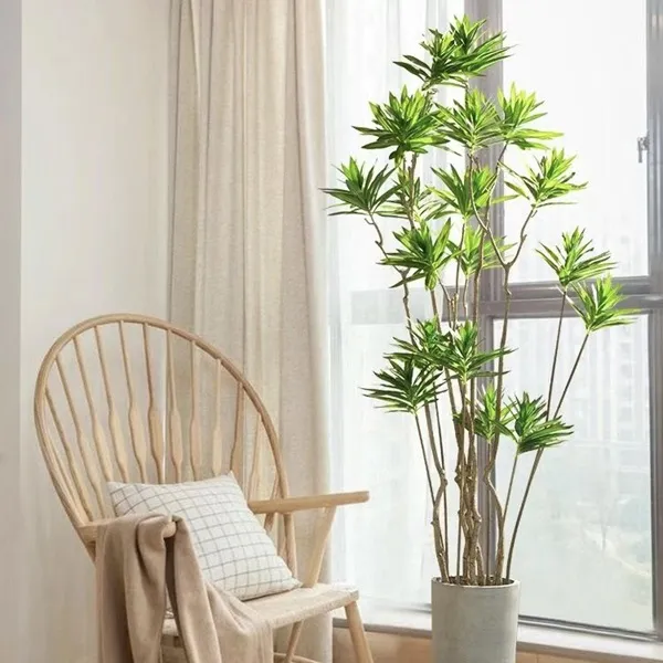 ins风室内客厅北欧金心百合竹绿植落地盆景