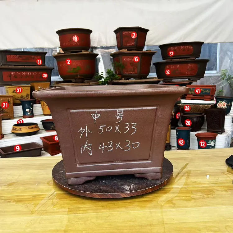 精品紫砂50四方花卉绿植飘枝老桩盆景造型紫砂花盆（工厂直发）