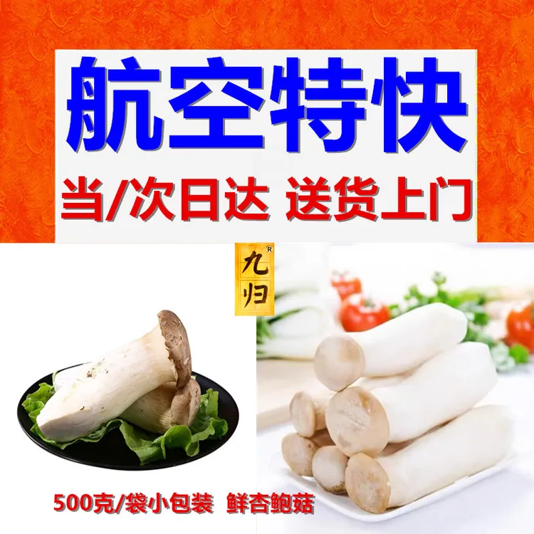 九归-航空特快送货上门-【1斤新鲜杏鲍菇】500g/包家用商用食用菌