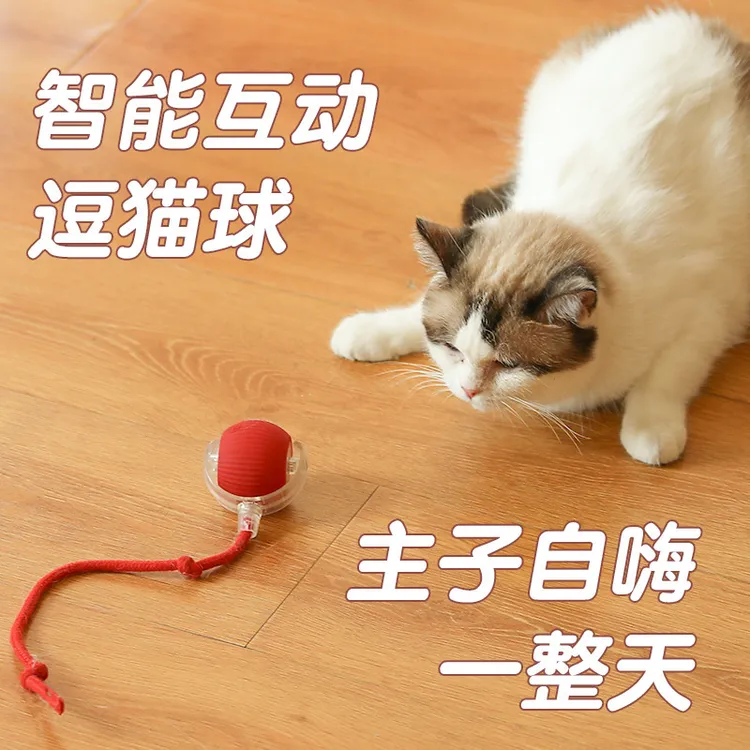 聚小宠耐咬自动逗猫球猫咪玩具猫玩具自嗨躲避可充电猫咪必备用品