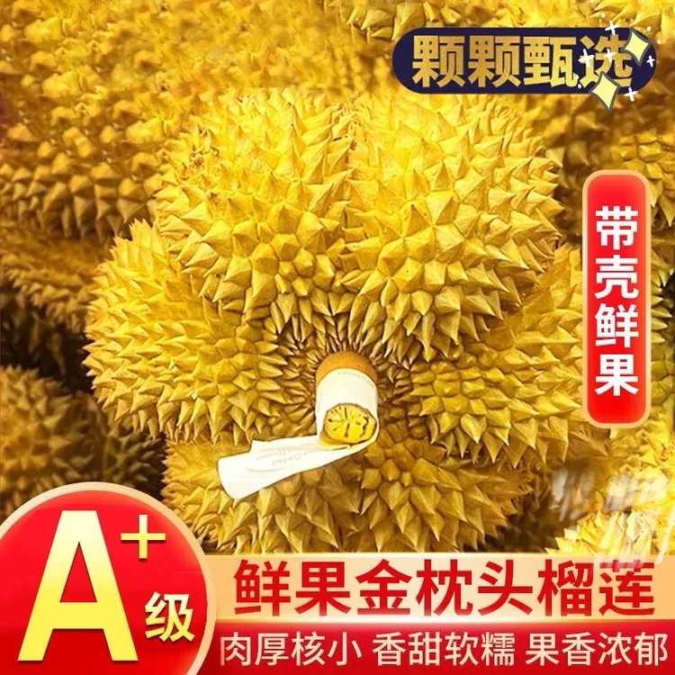 【顺丰现货】泰国金枕榴莲带壳一整个软糯香甜水果批发包邮
