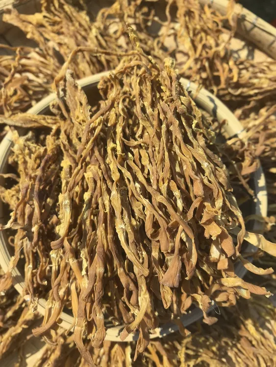 广西农家土特产无硫无添加纯手工凤尾丝笋干竹笋笋丝笋片泡发即炒