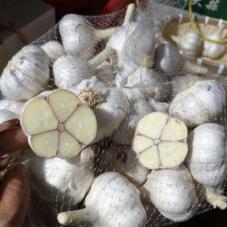正宗苍山四六瓣干蒜