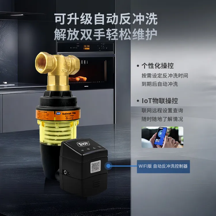 前置过滤器EDO-S德国进口40微米316L*前置过滤器家用自动清洗