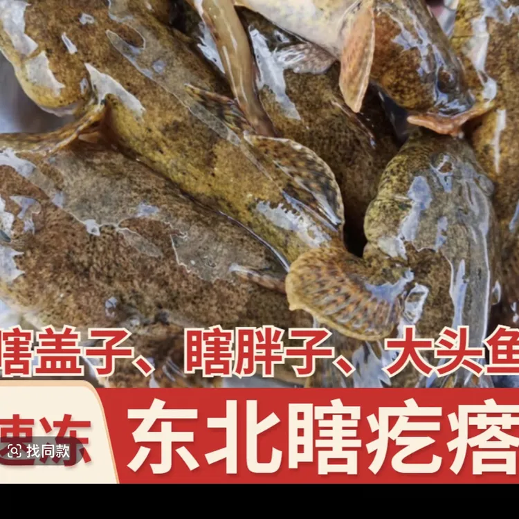 太子河特产溪水小河鱼东北特产冷水小河鱼本溪特产