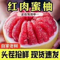 T【多仓发货】2025年头茬老树红心蜜柚新鲜采摘皮薄肉厚清甜多汁AC