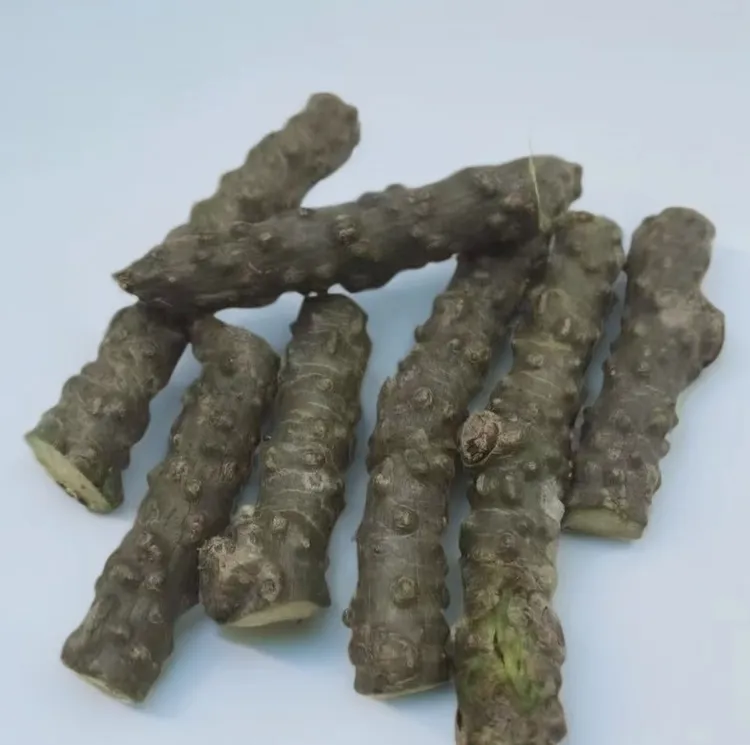 无品牌云南新鲜黑苦藤千里寻根苦藤山藤非干货