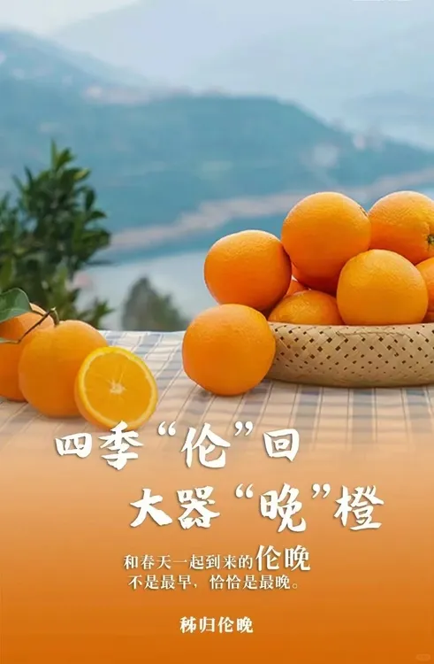 湖北秭归伦晚脐橙新鲜应季水果香甜多汁果园现摘