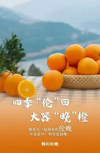 湖北秭归伦晚脐橙新鲜应季水果香甜多汁果园现摘