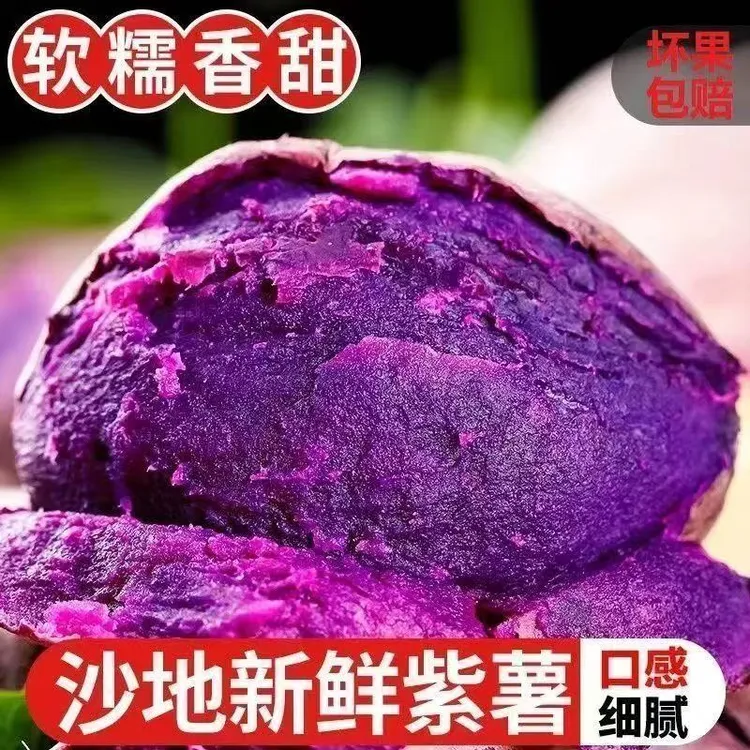 （坏瓜包赔）新鲜采摘现挖紫薯紫罗兰紫薯粉糯香甜4.5斤
