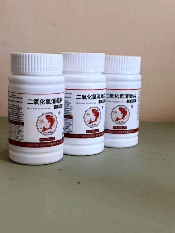 观赏鱼合池合缸合鱼双杀套餐锦鲤兰寿蝴蝶鲤