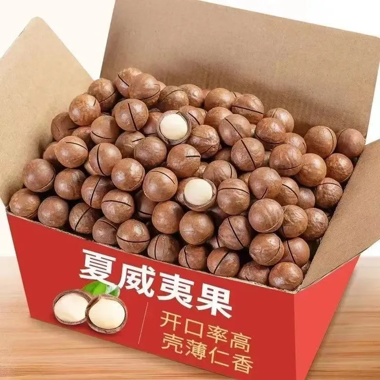 夏威夷果新货原味颗粒薄壳配开果器休闲零食夏威夷果坚果零食批发
