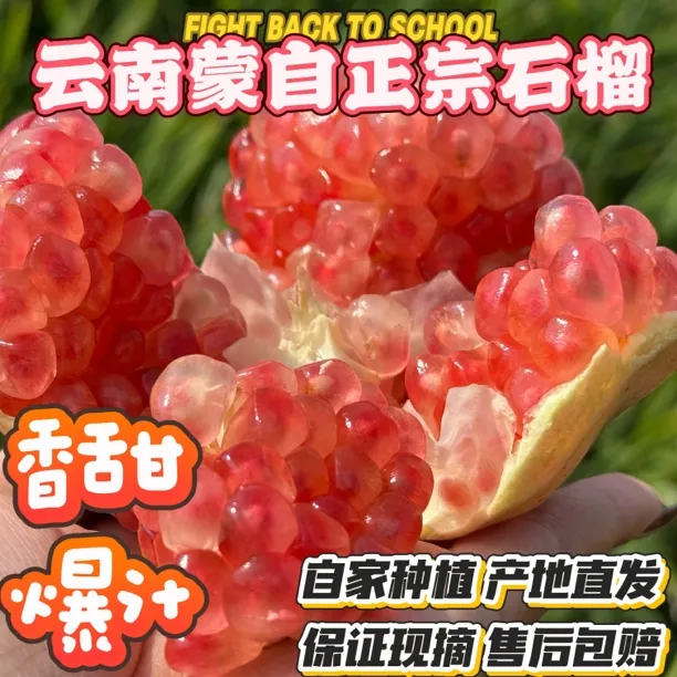 云南蒙自老树甜石榴孕妇新鲜现摘饱满多汁爆甜水果