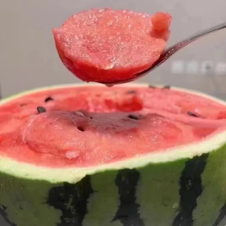 现摘现发头茬无籽美都西瓜产地直发