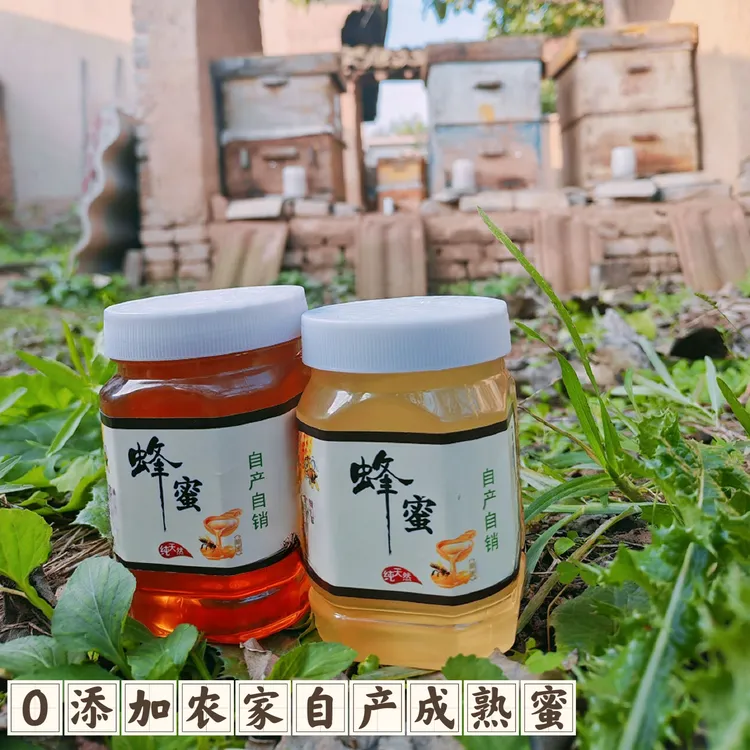 纯天然无添加初级农产品   小枣花蜜槐花蜜   农家土蜂蜜自产自销