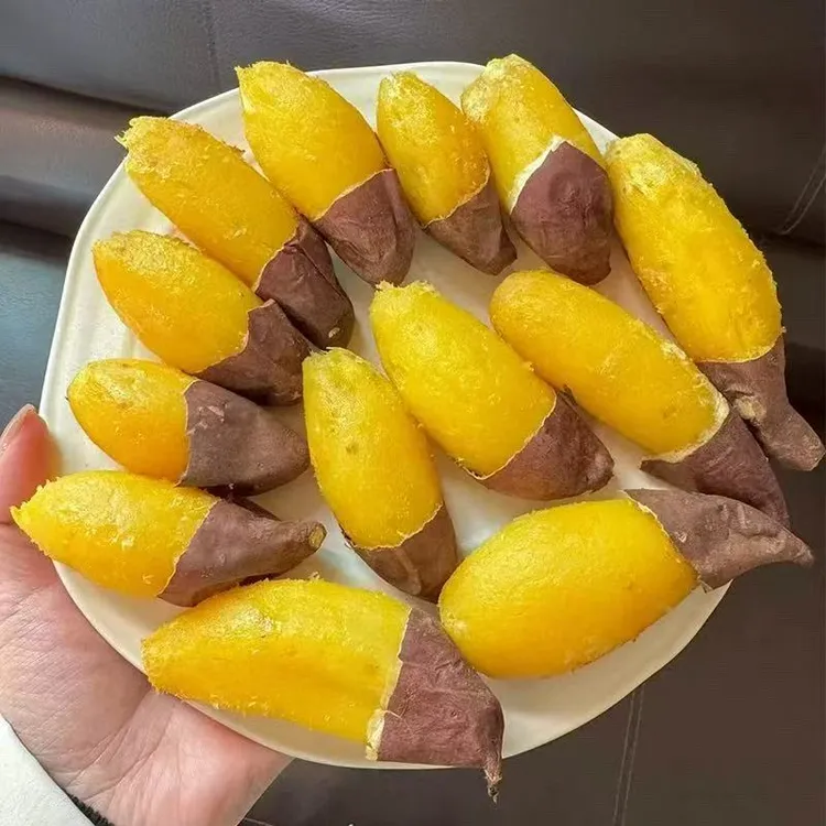 【小爱自营】云南高山榴莲蜜薯鸣门金时丝滑蜜薯3斤4.5斤装软糯香甜
