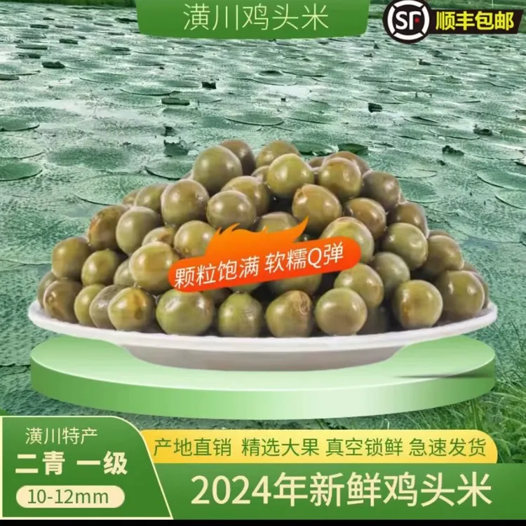 2025新鲜潢川鸡头米