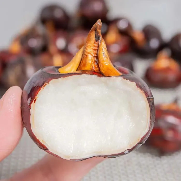 湖北新鲜带泥红皮水果马蹄荸荠新鲜现挖地梨地栗农家特产自种