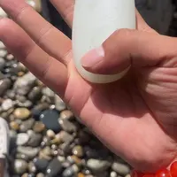 未镶嵌和田玉（糖玉）珠宝奇石