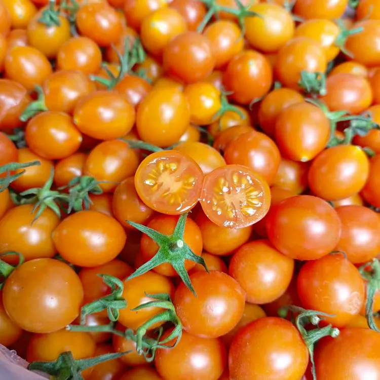 珍珠小黄柿子(惠鲜水果)
