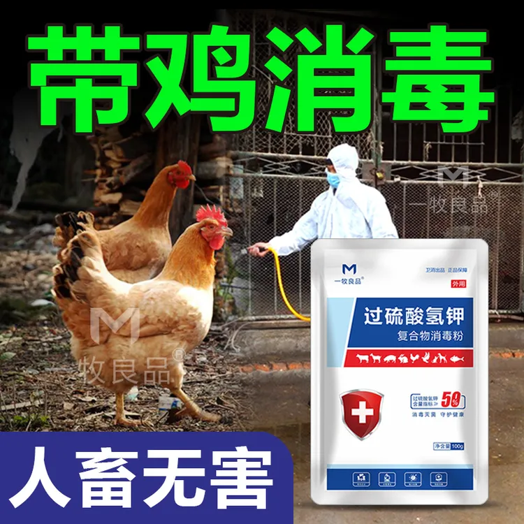 鸡舍专用消毒液养殖场专用过硫酸氢钾消毒液鸡舍消毒水鸡鸭鹅消毒