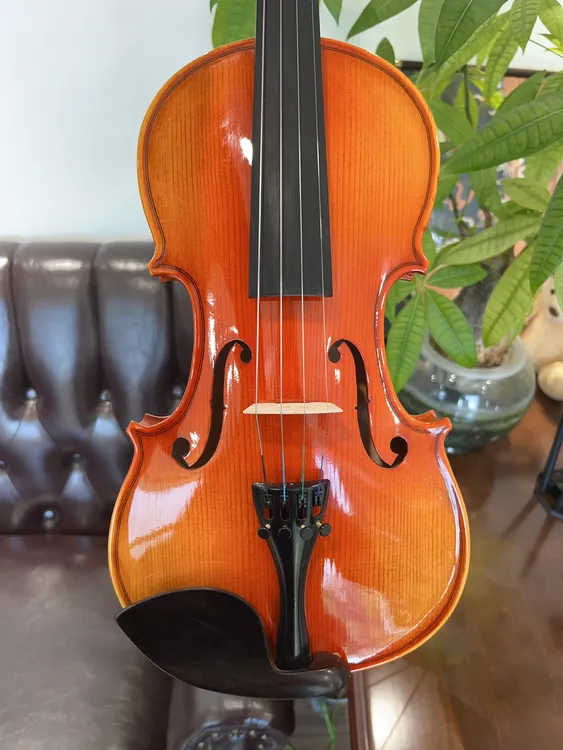 欧料实木工艺小提琴DSP