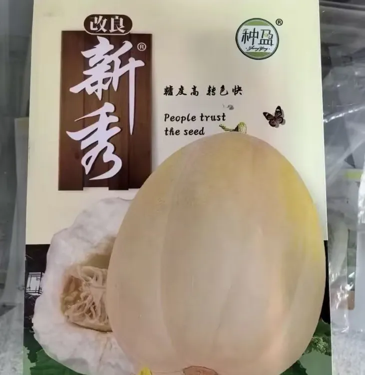 【新秀早熟甜瓜种子】四季种植盆栽阳台