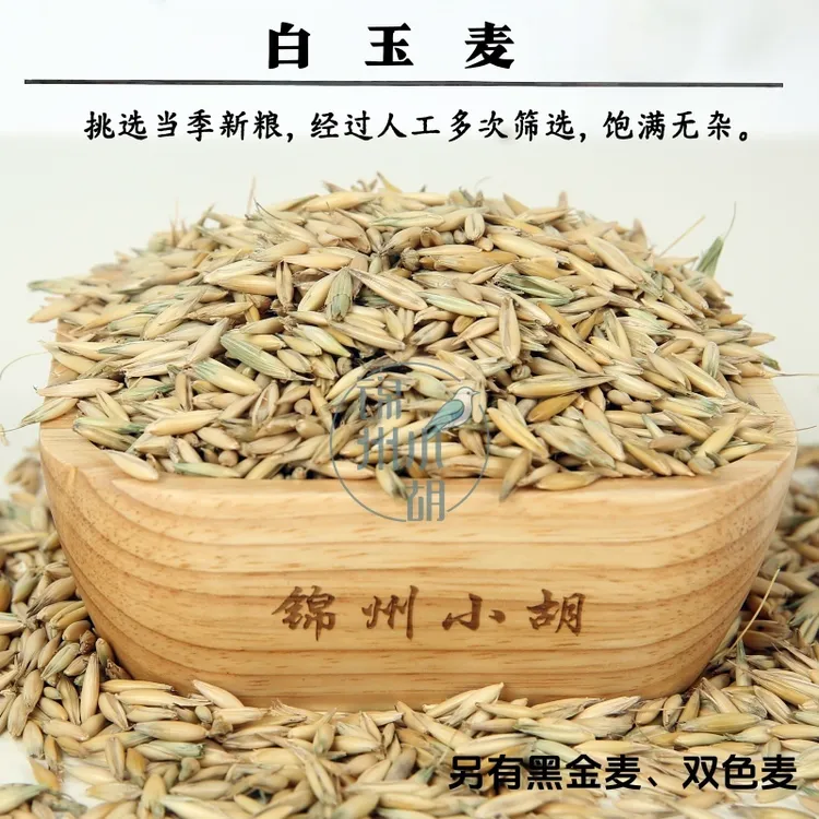 白玉麦 草籽 鹦鹉鸟粮 黑金麦 双色麦草籽 补钙 磨嘴 包邮