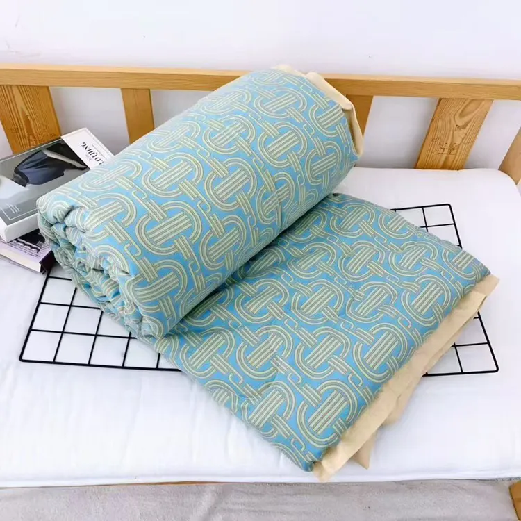 【毕嫂专属被子】加厚斜纹磨毛暖阳绒多功能大豆被(总)家用成人