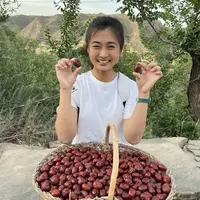 【林】黄河滩山地【大红枣】皮薄肉厚 红枣个头大 熬粥煲汤红枣香